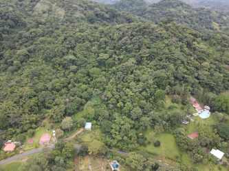 Flat beachfront plot with tropical plants and water view in Costa Arriba Panama