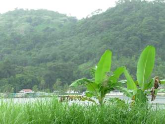 Overview of Puerto Lindo Caribbean village coastline with hills and calm bay