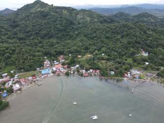 Aerial view of dense forest area of Puerto Lindo beachfront property for sale