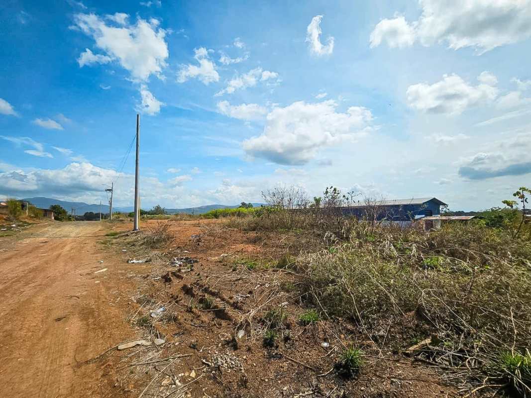 Vacant parcel with dirt roadside access, electric poles and distant hills in Tanara Panama