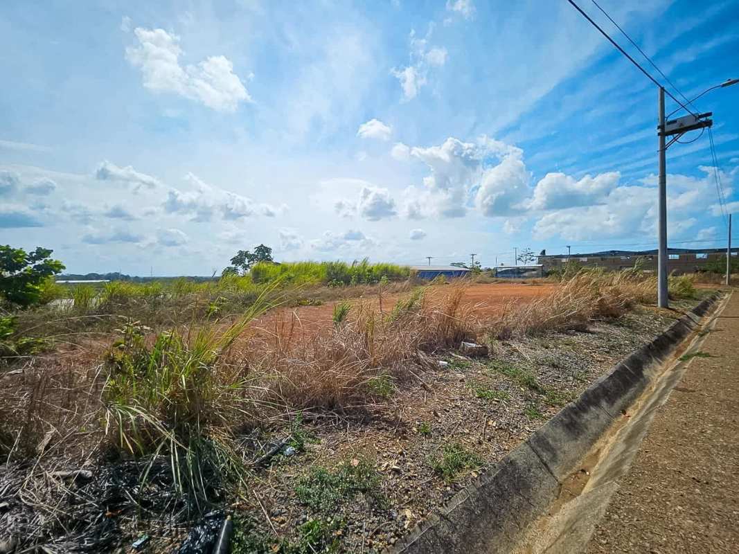Vacant roadside land with dry grass and utility poles in Tanara, Chepo Panama