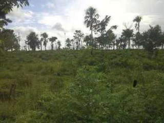 Land for Sale in Calobre District - 0 bedrooms