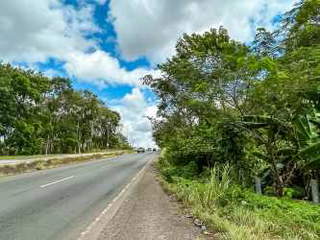 Land for Sale in Capira - 0 bedrooms