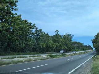 Land for Sale in San Carlos - 0 bedrooms