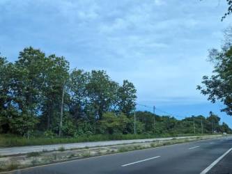 Asphalt road lined with trees and electric lines adjacent to farmland in La Ermita San Carlos Panama
