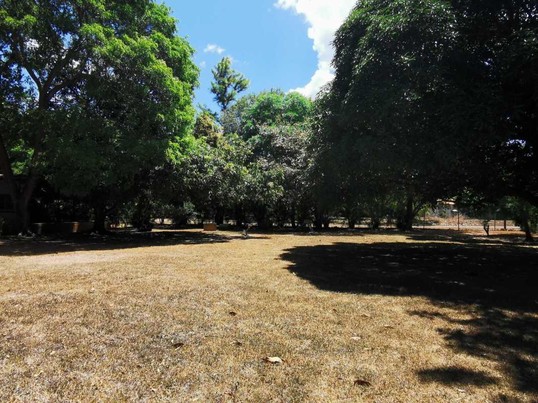 Large fenced backyard with trees and pool at Santa Clara beach community Panama