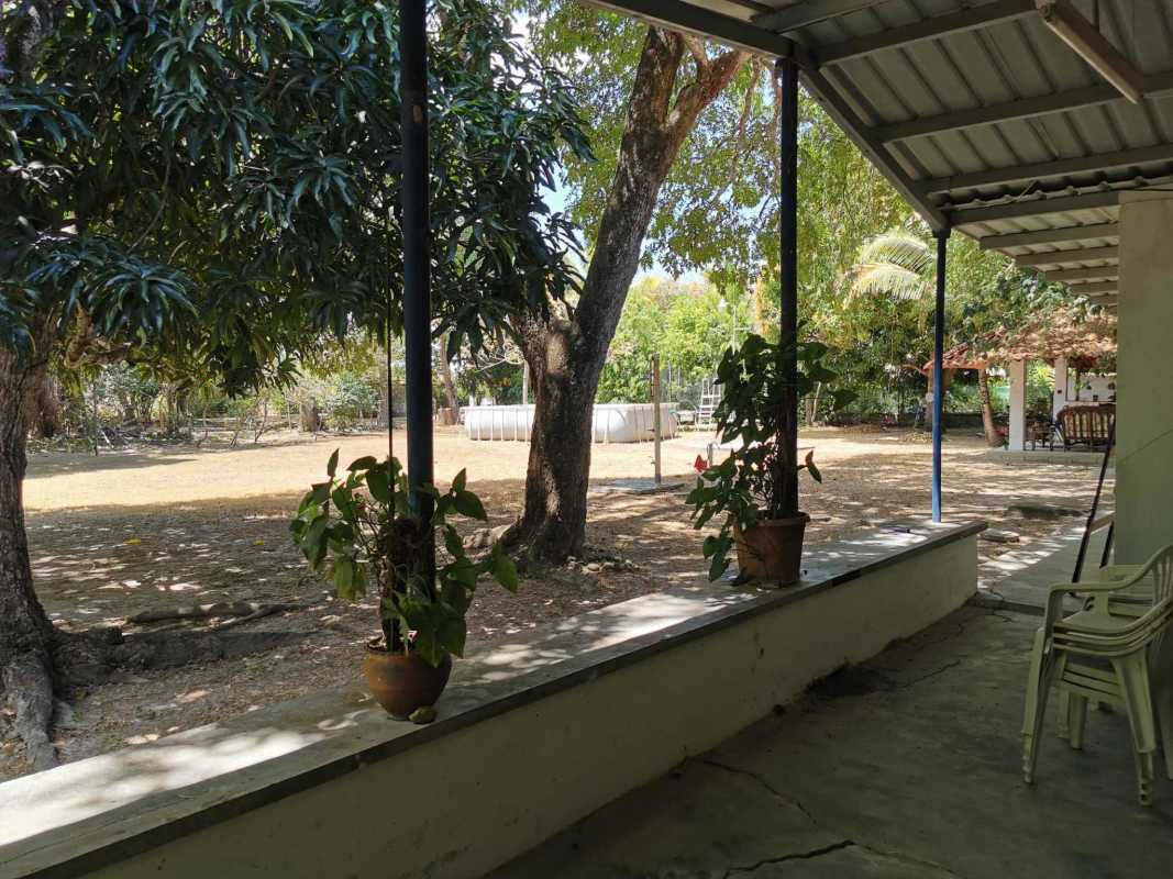 Back patio overlooking above-ground pool, mature trees, and garden in Santa Clara Panama