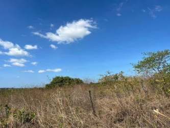 Large investment land near Pan-American Highway in Santiago Veraguas Panama