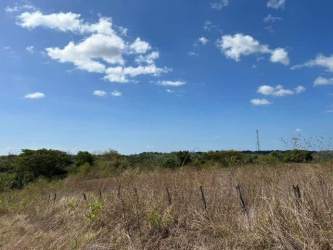 Flat undeveloped buildable land Santiago Veraguas Panama