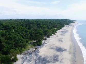 White sand beach with tropical vegetation aerial in Coclé coastal region Panama