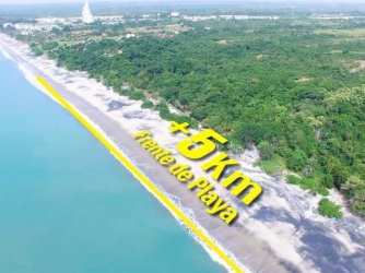 Aerial showing extensive Pacific beach front with forest zones in Panama