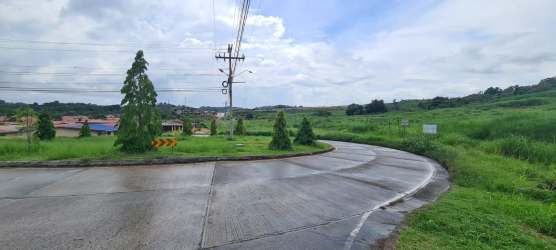 Curved paved road running beside open fields with utility poles in Arraiján Panama residential development site