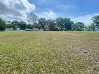 Open grassy lot with mature trees close to ocean in Santa Clara