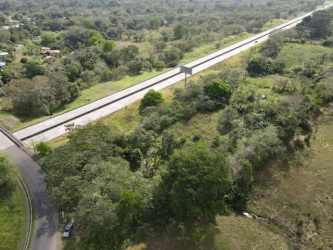 Aerial showing lush jungle with natural water stream through farm land in Nuevo San Juan Colon Panama