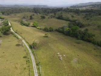 Aerial of open grazing meadows suitable for cattle and crops near Panama City
