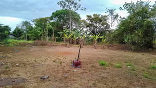 Land for Sale in Tocumen - 0 bedrooms