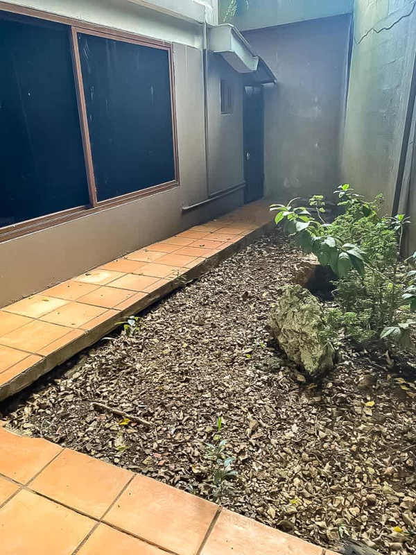 Exterior side path with plants and large windows La Cresta Panama City