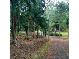 Land Lot for Sale in Sora - 0 bedrooms
