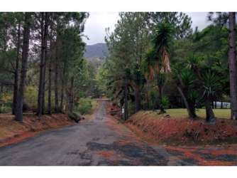 Scenic mountain road inside forested residential community Altos del María