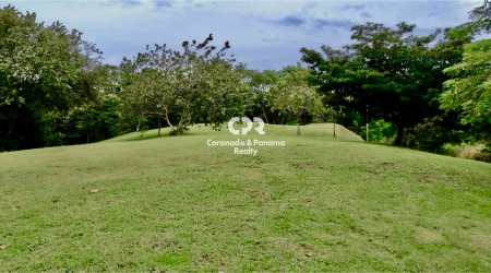 Vacant lot with green grass and mature trees perfect for home construction in Coronado