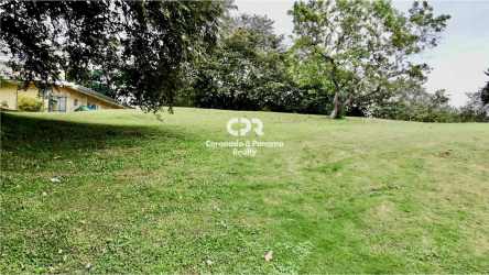 Green lawn with mature trees on sloping terrain near Coronado International School