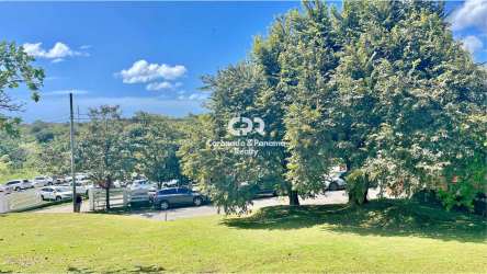 Mature trees, grassy lawn, and street with parked cars in Colinas del Mar Panama