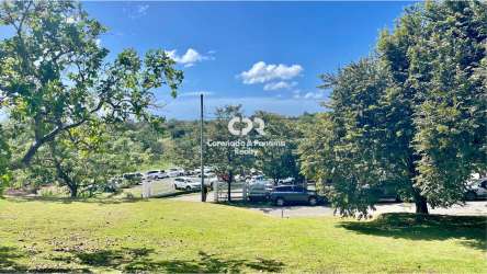 Expansive grassy area with large shade trees and parking lot nearby Coronado International School