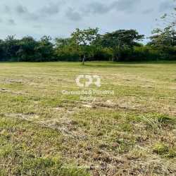 Large open lot with mature trees inside Coronado golf community Panama