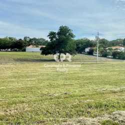 Open grassy parcel corner lot with tree beside Coronado golf course in Palmeras del Golf Panama