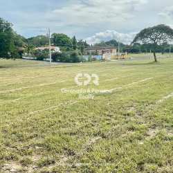 Open plot of green land with power poles near golf in Palmeras del Golf Coronado Panama