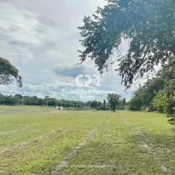 Wide open grassy property with tree line in Palmeras del Golf Coronado Panama
