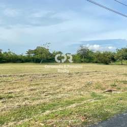 Vacant plot adjacent to road with utility poles in Coronado Panama