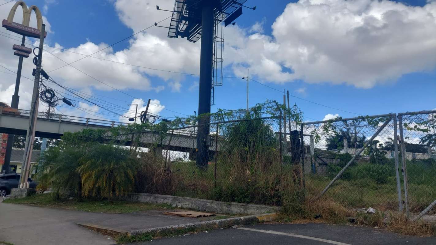 Vacant lot with billboard fence sidewalk and palm near shops in Panama City