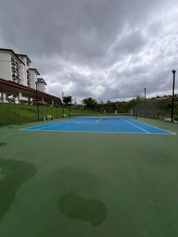 Luxury pool sunbeds palm trees PH Alameda Clayton residential Panama