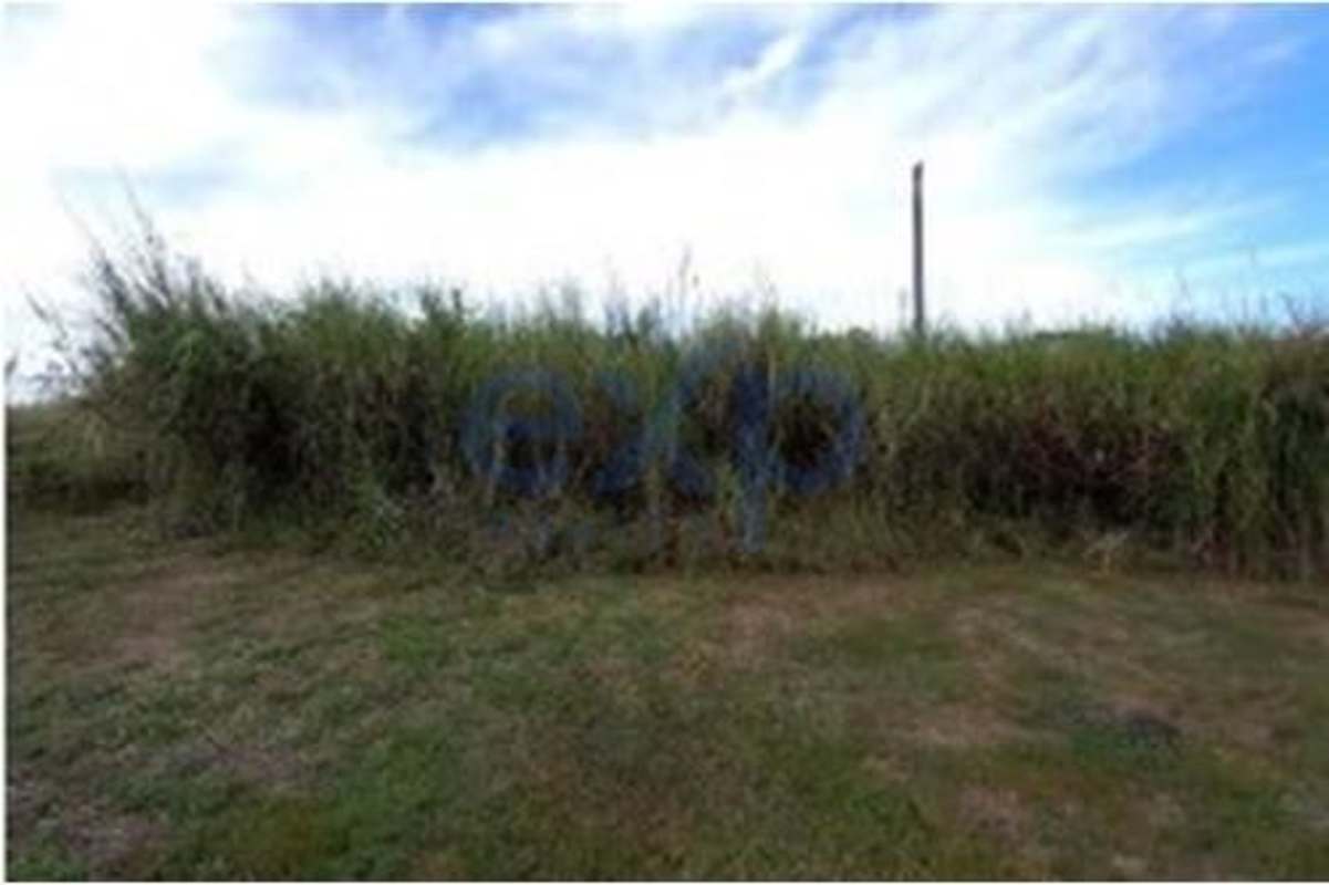 Flat vacant land site in booming commercial-industrial district Las Mañanitas Panama