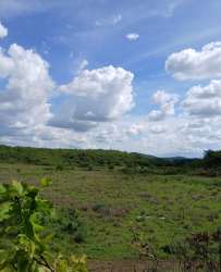 Scenic panoramic view of open countryside rolling hills on 116 hectare farm in Calobre Veraguas Panama