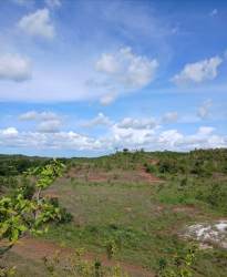 Expansive rural mountain farmland for cattle, crops or eco farming in Calobre Veraguas Panama 116 hectares