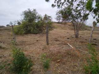 Land for Sale in Agua Buena - 0 bedrooms
