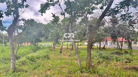 Natural greenery on residential land for sale in Coronado Panama