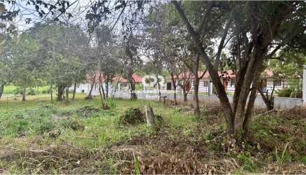 Spacious residential land lot with trees near the beach in Coronado Panama