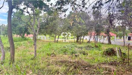 Large titled residential lot with mature trees for sale near Coronado beach Panama