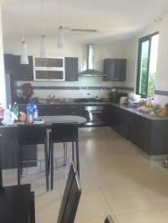 Sun-drenched tropical backyard with lagoon-style pool at Coronado beachfront home