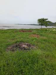 Coastal Caribbean waterfront development land with greenery Panama for sale