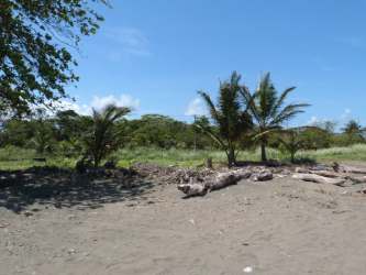 Waterfront Caribbean land plot with palm trees in Maria Chiquita Panama for sale