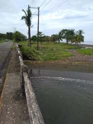 Sandy beach property with tropical trees on Caribbean coast of Panama for sale