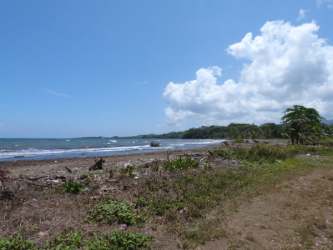 Natural sandy beachfront with palm trees on Panama's Caribbean coast for sale