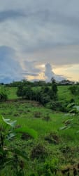 Open grass fields and woods in La Chorrera suitable for farming
