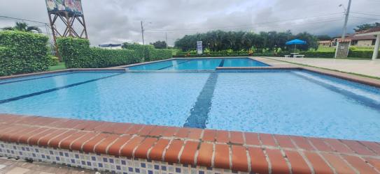 Lush gardens with flowering plants PH El Valle Village Panama