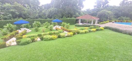 Thatched roof picnic gazebos BBQ event area PH El Valle Village Panama