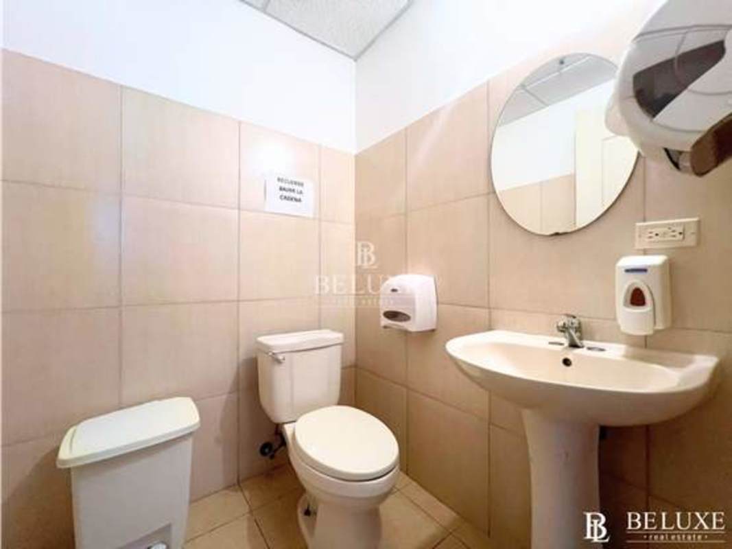 Bright office with desks, chairs, large windows in PH Centro Financiero El Carmen Panama